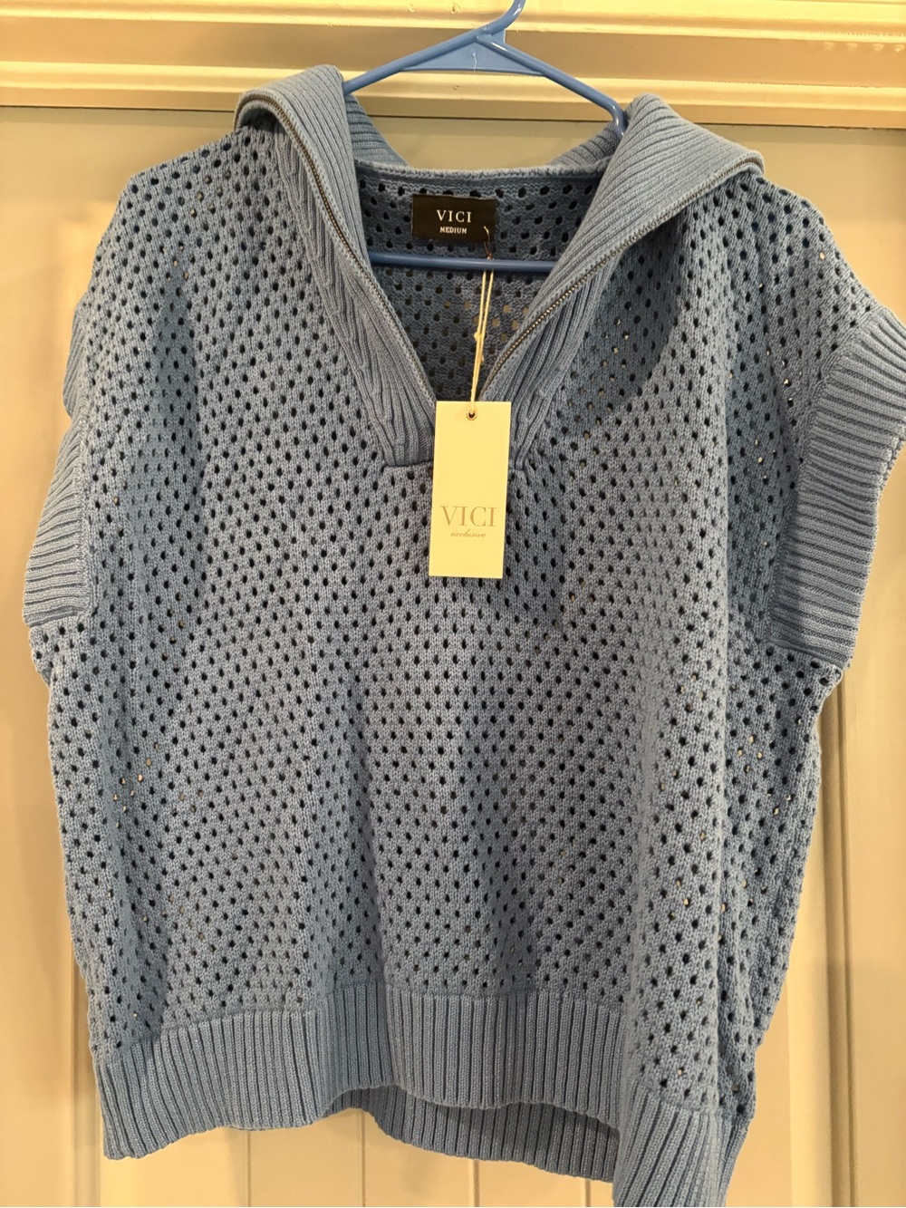 VICI Pale Blue Open-Knit Hooded V-Neck Sleeveless Sweater